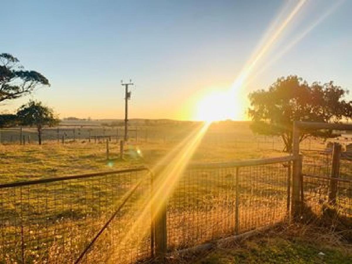Pleasant Hill Bnb Mount Gambier Extérieur photo